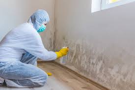 Professional Mold Removal Services in England, AR