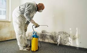 Best Mold Removal for HVAC Installations  in England, AR